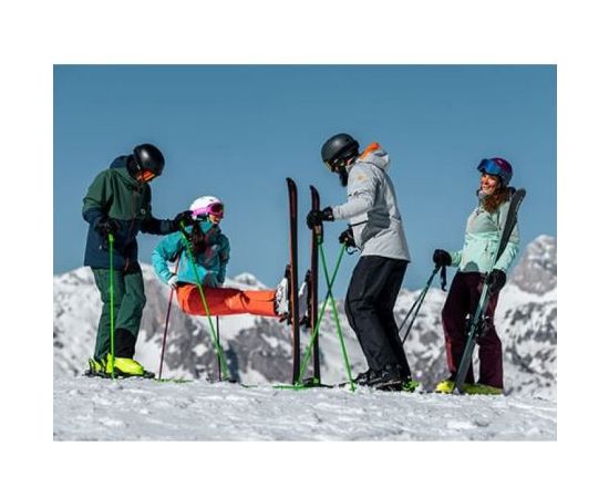 Elan Skis Element W LS EL 9.0 GW / Zila / 160 cm