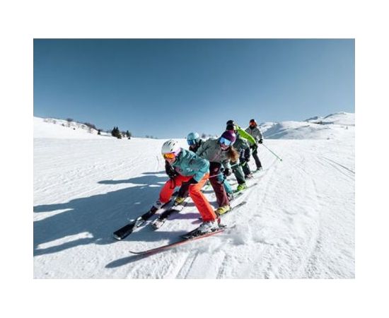 Elan Skis Element W LS EL 9.0 GW / Zila / 160 cm