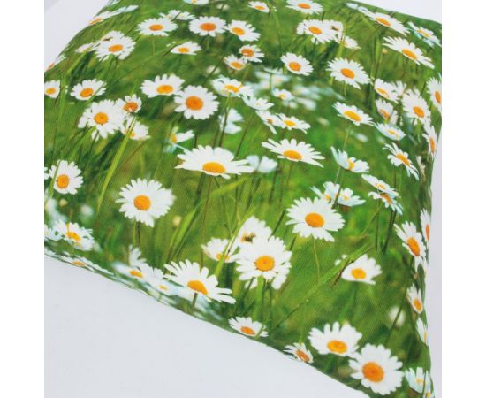 Pillow HOLLY 45x45cm, daisies