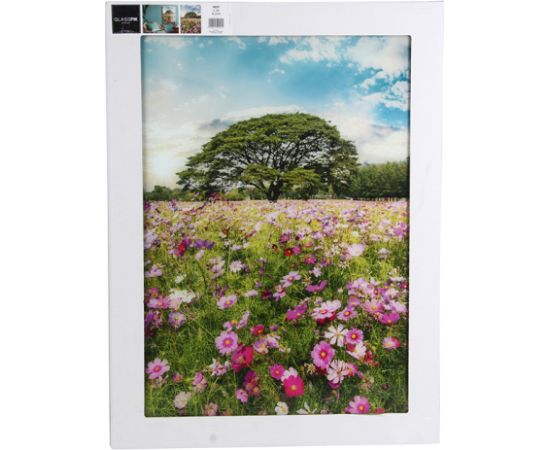 Foto glezna 50x70cm MEADOW