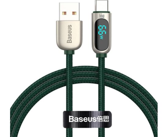 Baseus Display Cable USB to Type-C, 66W, 1m (green)