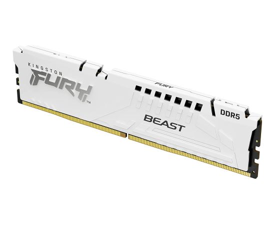 Kingston FURY 32 GB DDR5-6000 Kit, memory (white, KF560C40BWK2-32, Beast, XMP)