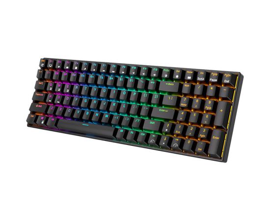 Wireless mechanical keyboard Royal Kludge RK100 RGB, Brown switch (black)