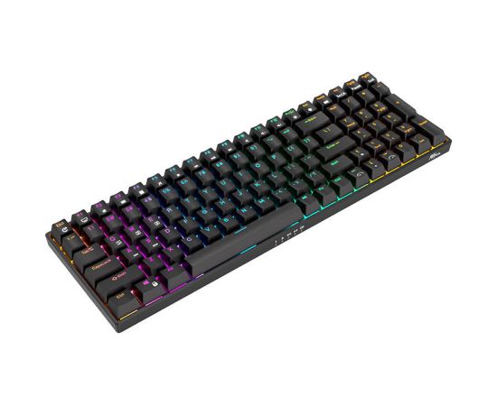 Wireless mechanical keyboard Royal Kludge RK100 RGB, Brown switch (black)