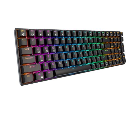 Wireless mechanical keyboard Royal Kludge RK100 RGB, Brown switch (black)