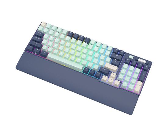 Mechanical keyboard Royal Kludge RK96 RGB, brown switch (blue)