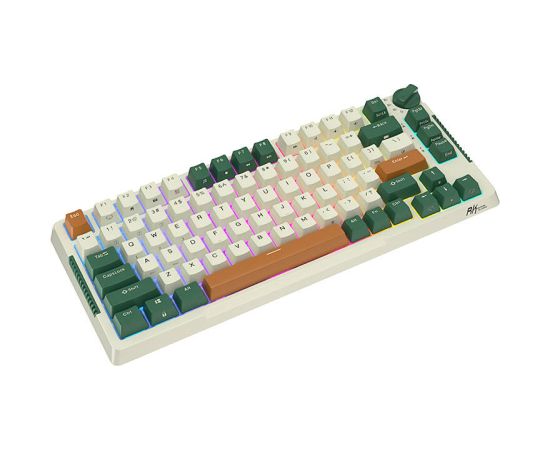 Wireless mechanical keyboard Royal Kludge RKH81 RGB, Sky cyan switch (green)