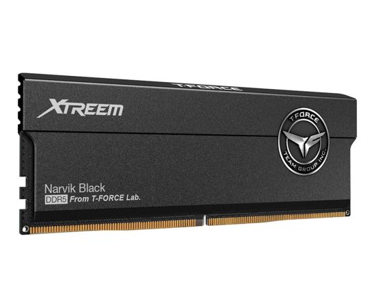 Team Group DDR5 - 32GB - 8000 - CL - 38 (2x 16 GB) dual kit, RAM (black, FFXD532G8000HC38DDC01, XTREEM, INTEL XMP, AMD EXPO)