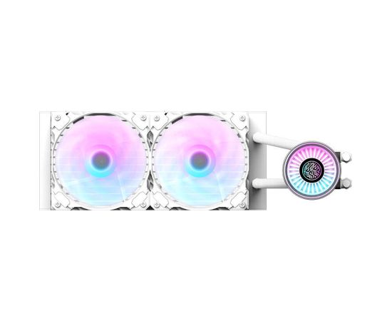 Darkflash DN 240 CPU liquid cooling (white)