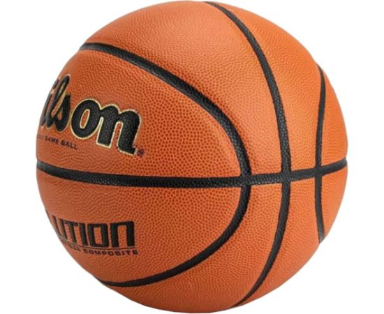 Wilson Evolution Indoor Game Ball WTB0586XBEMEA (6)