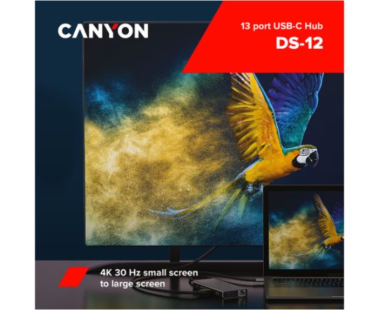 CANYON hub DS-12 13in1 4k USB-C Dark Grey