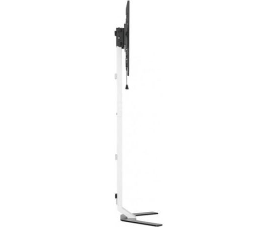 TECHLY Super Slim Floor Stand for LCD / LED / Plasma TV from 32inch to 70inch