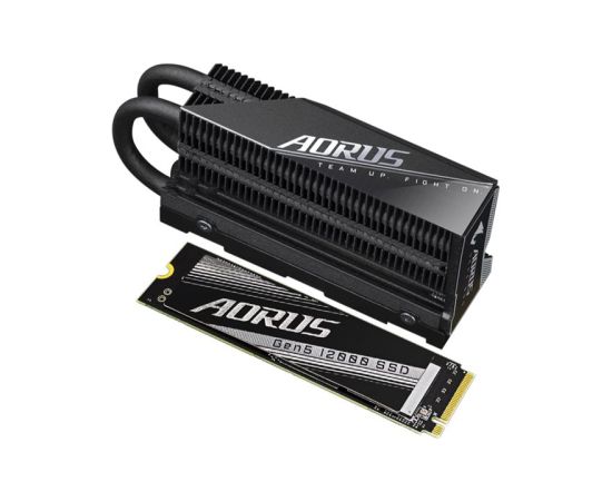 GIGABYTE AORUS Gen5 12000 SSD 2TB