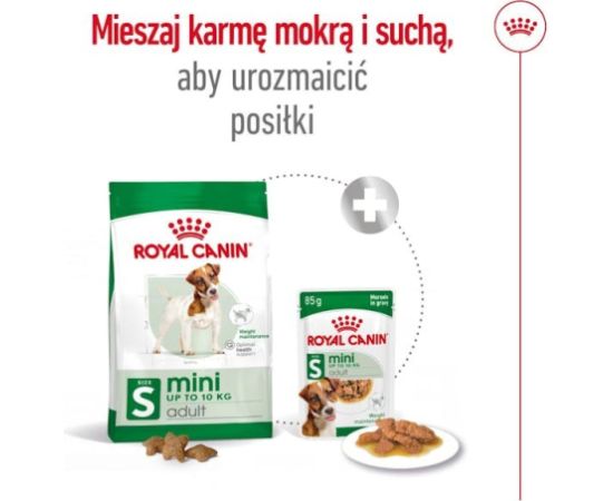 ROYAL CANIN Adult Mini S - dry dog food - 2kg