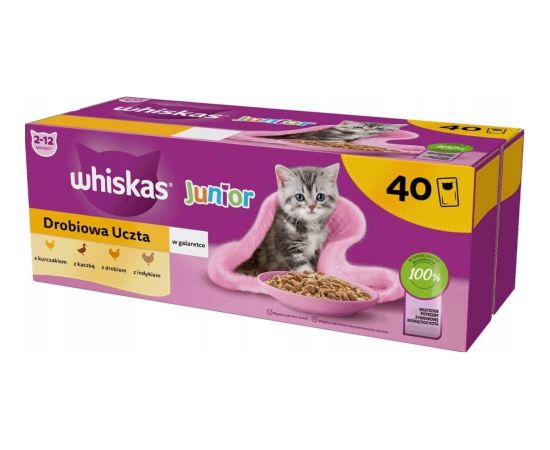 WHISKAS Junior Poultry in jelly - wet cat food - 40 x 85g