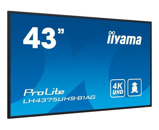 iiyama ProLite LH4375UHS-B1AG, Public Display (black (matt), UltraHD/4K, IPS, speakers, SDM slot)