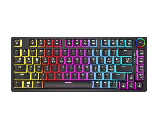 SAVIO PHENIX Wireless mechanical keyboard, Gateron Yellow Pro, Pudding