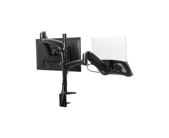 Stativs monitoram Trust Mara Monitor & Laptop Arm