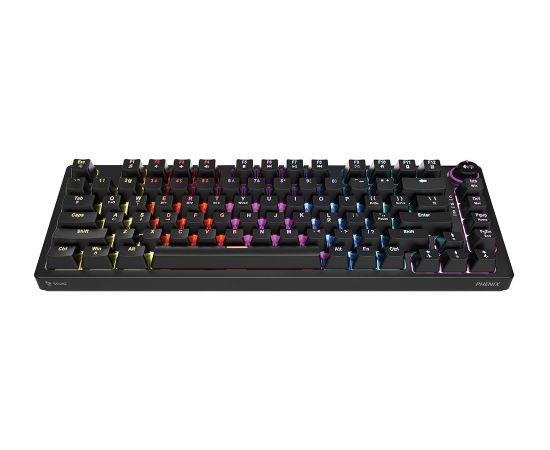 SAVIO PHENIX Wireless mechanical keyboard, Gateron Yellow Pro, ABS