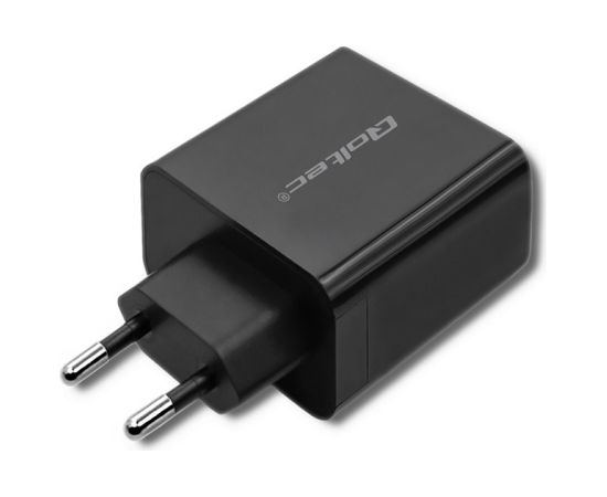 Qoltec 51717 Charger | 45W | 5-20V | 2.25-3A | USB type C PD | USB | Black