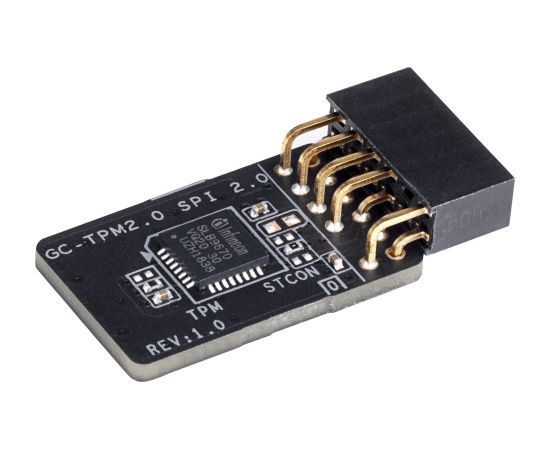 MB ACC TPM MODULE/GC-TPM2.0 SPI 2.0 GIGABYTE