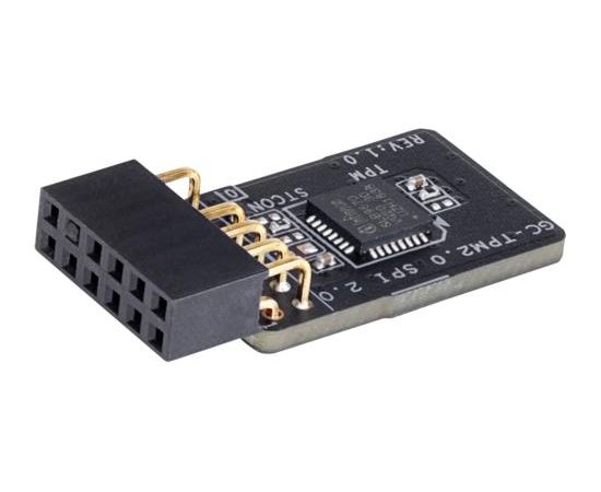 MB ACC TPM MODULE/GC-TPM2.0 SPI 2.0 GIGABYTE