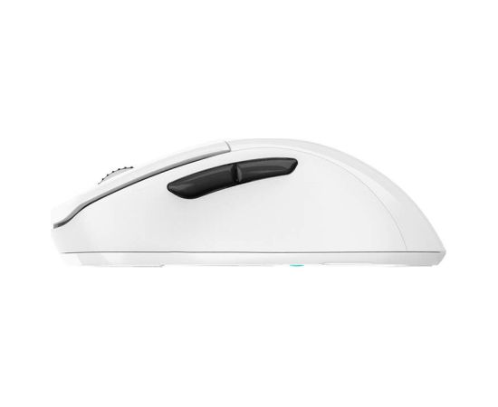 Dareu A918X Wireless Mouse White