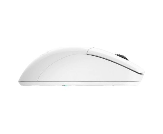 Dareu A918X Wireless Mouse White