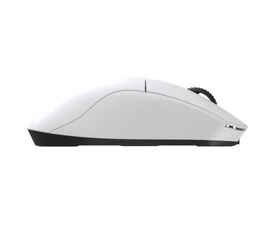 Dareu A950 Pro Tri Mode Wireless Mouse White