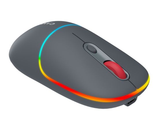 CANYON mouse MW-22 2in1 BT/ Wireless Dark Grey