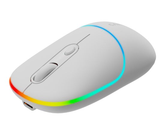 CANYON mouse MW-22 2in1 BT/ Wireless Snow White