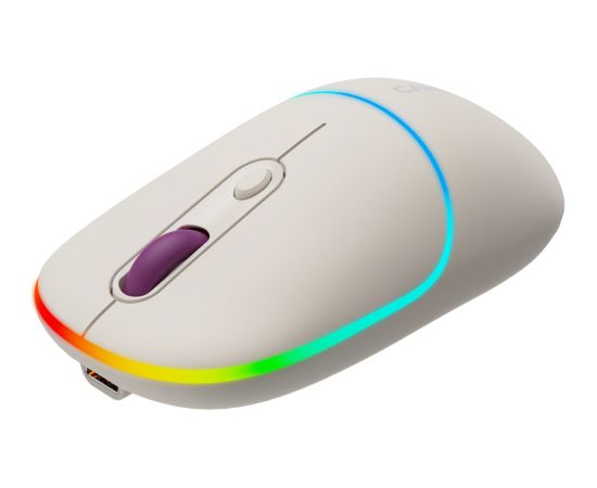 CANYON mouse MW-22 2in1 BT/ Wireless Rice