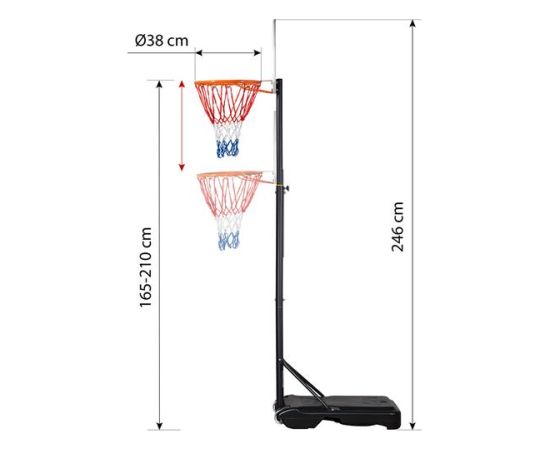 Basketbola grozs ZDK018 NILS