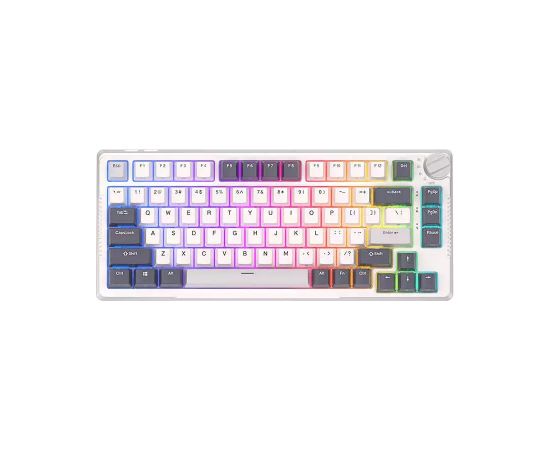 Royal Kludge RKH81  Kлавиатура RGB