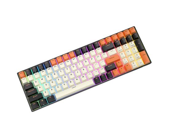 Mechanical keyboard Royal Kludge RK100 RGB, brown switch (black-orange)