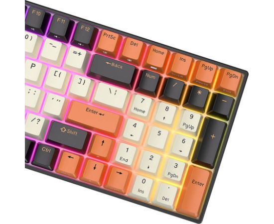 Mechanical keyboard Royal Kludge RK100 RGB, brown switch (black-orange)