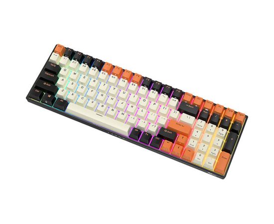 Mechanical keyboard Royal Kludge RK100 RGB, brown switch (black-orange)