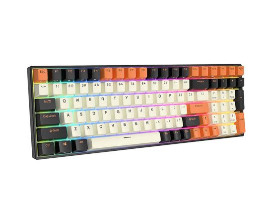 Mechanical keyboard Royal Kludge RK100 RGB, brown switch (black-orange)