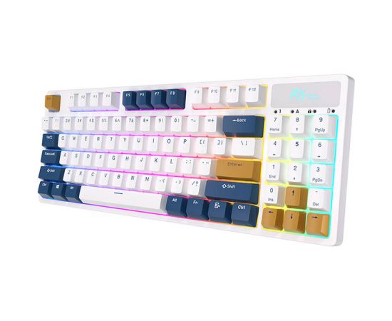 Wireless mechanical keyboard Royal Kludge RK89 RGB, Lemon switch (white)