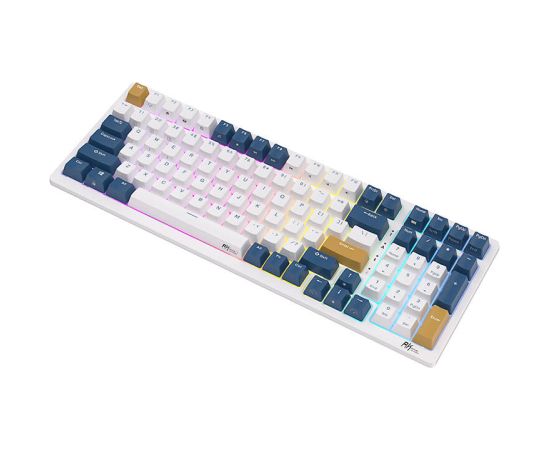 Mechanical keyboard Royal Kludge RK98 RGB, Red switch (blue)