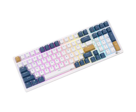 Mechanical keyboard Royal Kludge RK98 RGB, Red switch (blue)