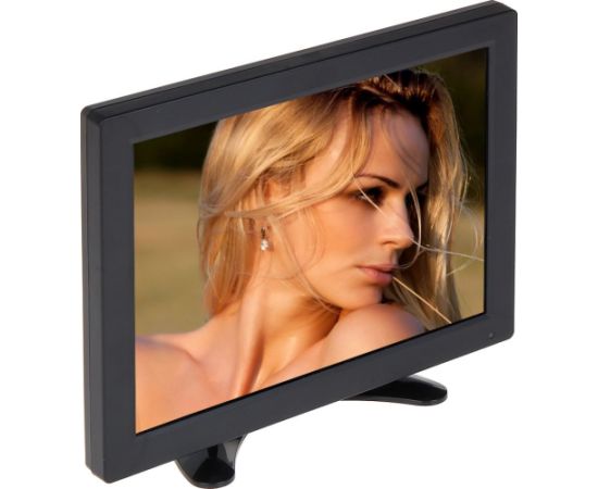 Monitor TFT-10/CCTV