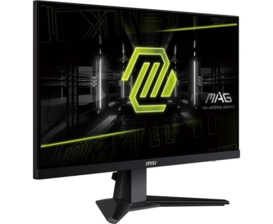 Monitor MSI MAG 256F