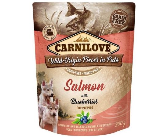 Carnilove Brit Carnilove Salmon Blueberries Łosoś Jagody Bezzbożowa dla Szczeniąt 300 g