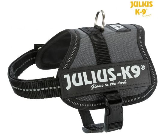 Trixie Julius-K9® Powerharness® szelki, dla psa, antracyt, Baby 2/XS–S: 33–45 cm/18 mm