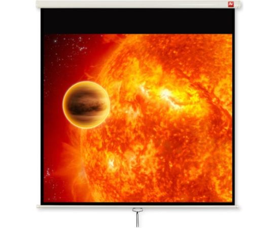 Avtek Video 280 projection screen 4:3