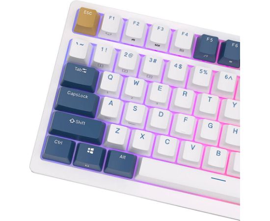 Mechanical keyboard Royal Kludge RK98 RGB, Red switch (blue)