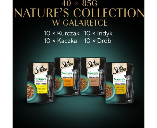 SHEBA Nature's Collection drobiowe smaki w galarecie- Drób - Adult- Mokra karma dla kota- 40x85