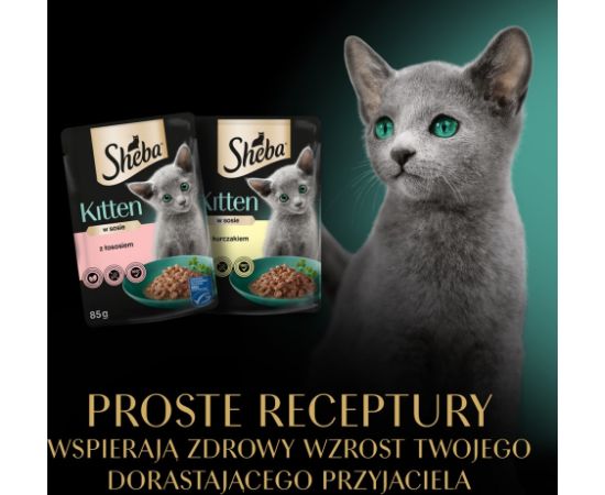 SHEBA Kitten Selection of Flavors in Sauce - wet cat food - 40x85 g