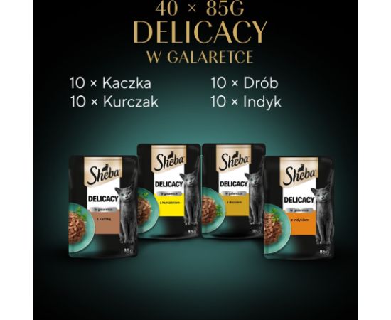 SHEBA Delicacy Drobiowe Smaki w galaretce - mokra karma dla kota - 40x85 g